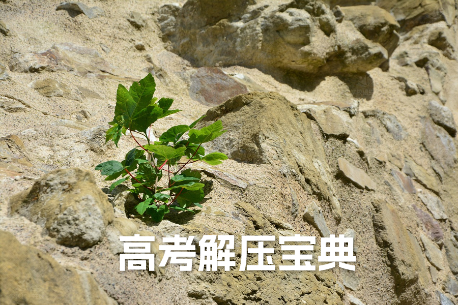 高考解压宝典:八种高效方法助你轻松迎考