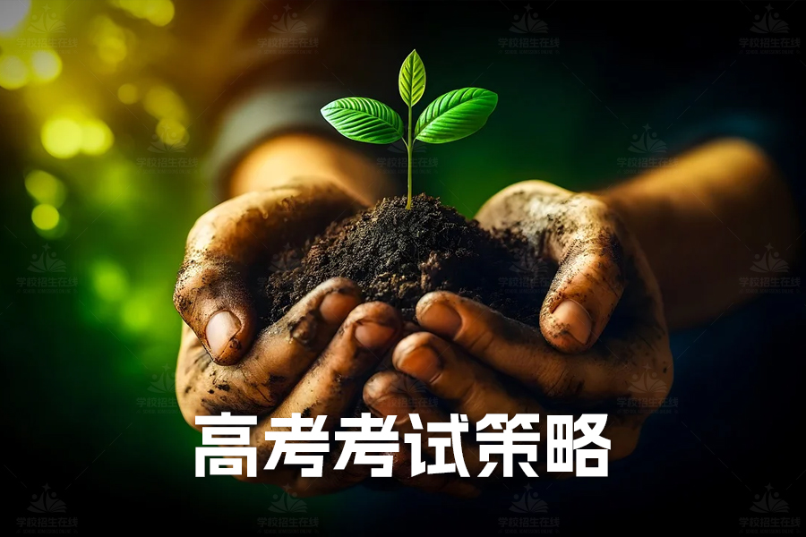 高考考试策略指南:提高得分的关键技巧