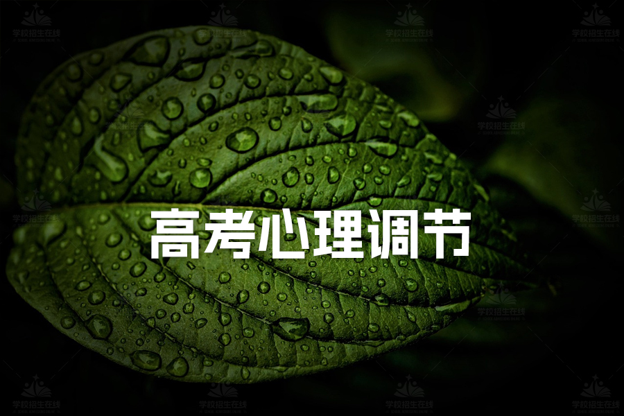 高考心理调节指南:三大策略助你轻松应对高考压力