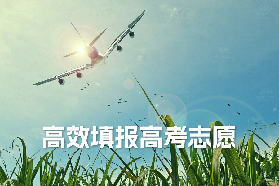 如何高效填报高考志愿:独家经验技巧全解析