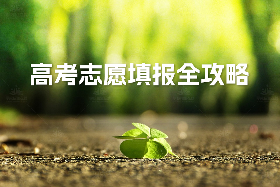 高考志愿填报全攻略:让你轻松赢得未来!