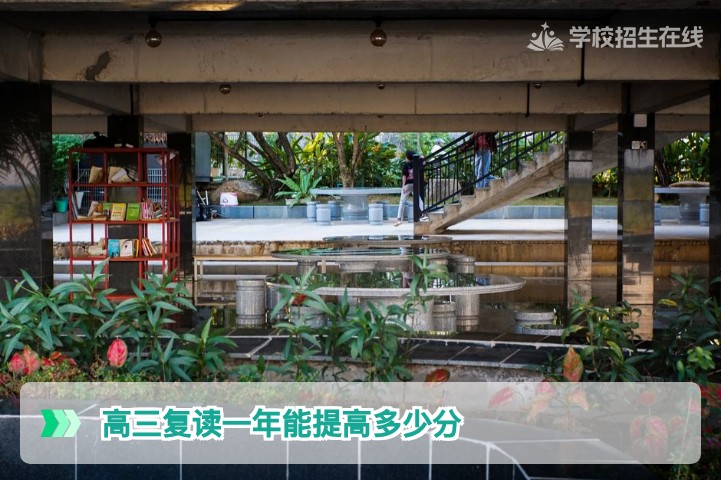 湖南高三复读一年能提高多少分?真实数据与提分策略全解析