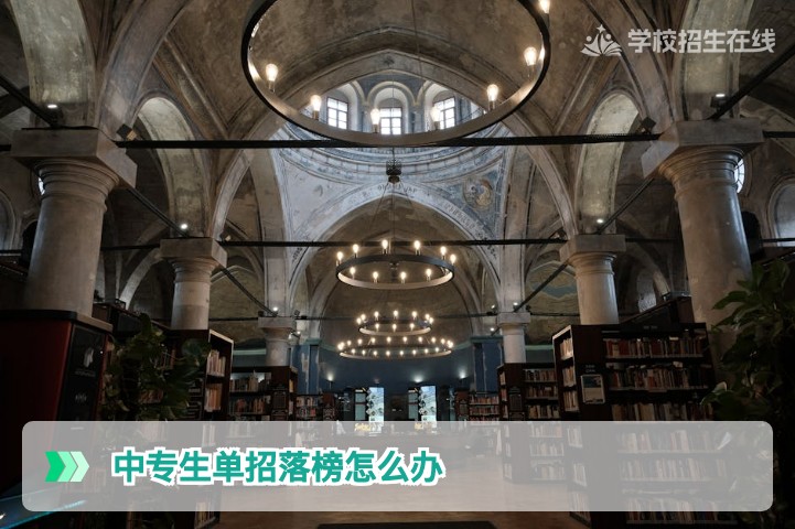 2026年湖南中专生单招落榜怎么办？三条出路与复读全攻略