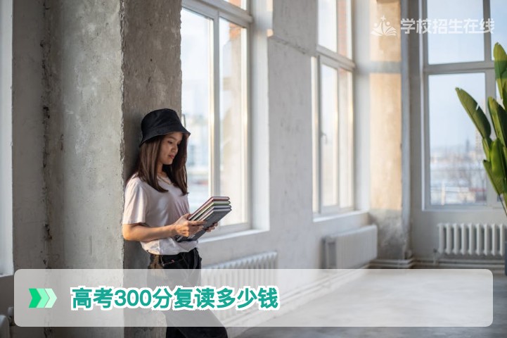 2026年湖南高考300分复读费用解析与择校指南
