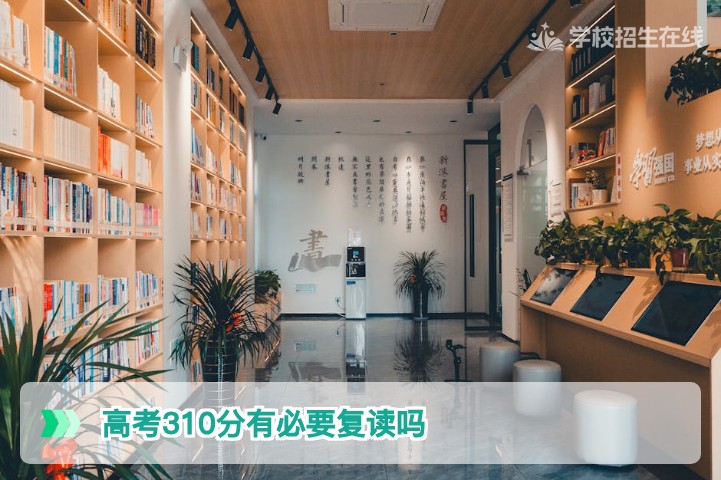 2026湖南高考310分复读指南：从专科线到本科的逆袭可能性与决策建议