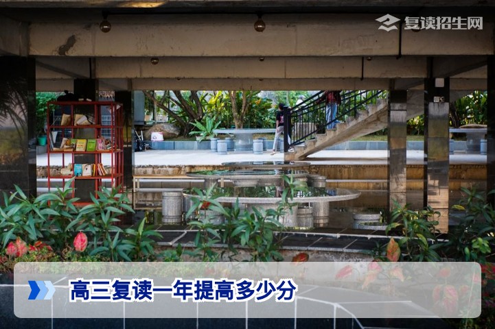2026届湖南高三复读一年提高多少分?真实提分数据与关键影响因素解析