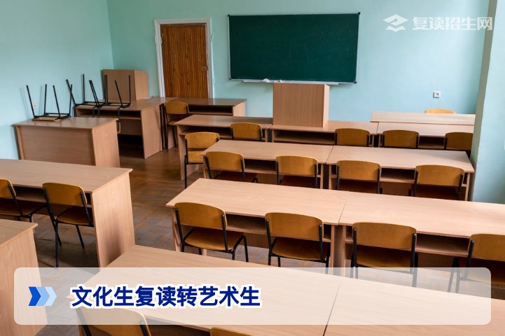 2026年湖南文化生复读转艺术生全面解析:政策、规划与提分策略