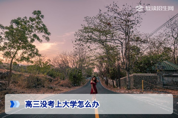 2026年湖南高三没考上大学怎么办 复读专科就业多维规划指南
