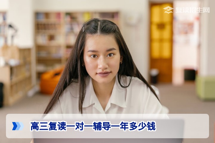2026年湖南高三复读一对一辅导一年费用全解析与选择指南