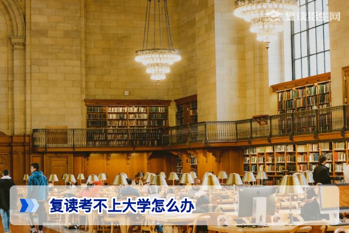 2026届湖南复读生考不上大学的应对策略与多元升学路径