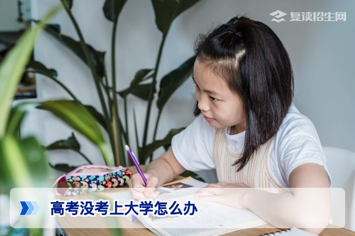 2026届湖南高考没考上大学后的科学应对方案与复读路径规划