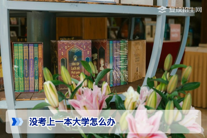 2026年湖南高考未上一本线:复读、二本、专科留学的三条出路与选择指南