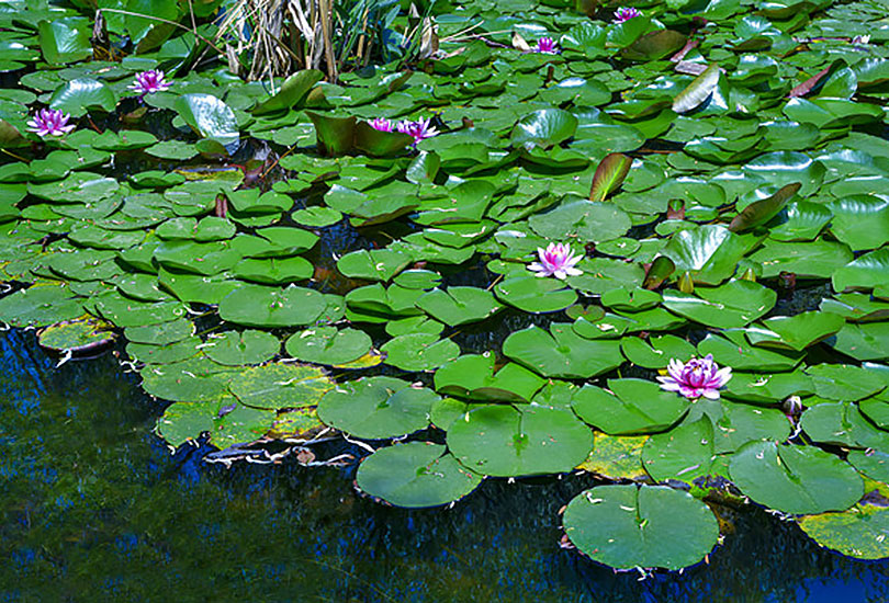 湖南师大附属思沁中学
