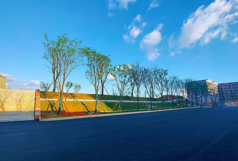  长沙市恒定高级中学