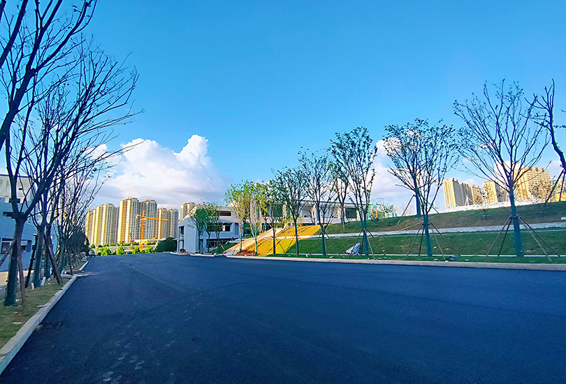  长沙市恒定高级中学