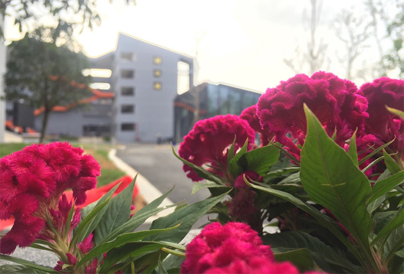  长沙市恒定高级中学