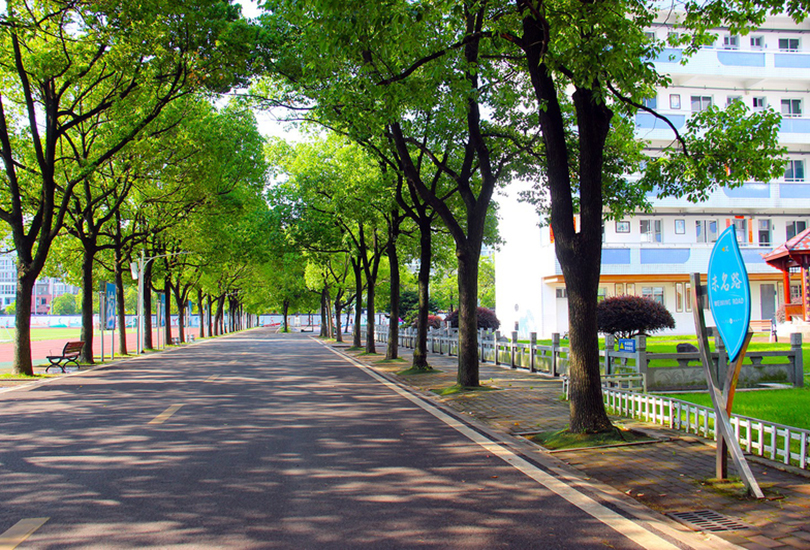 常德芷兰实验学校