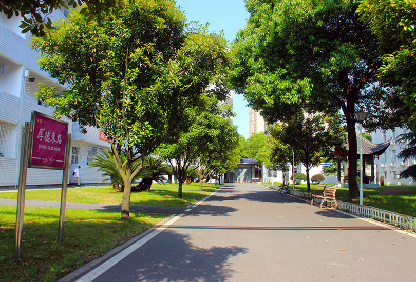 常德芷兰实验学校