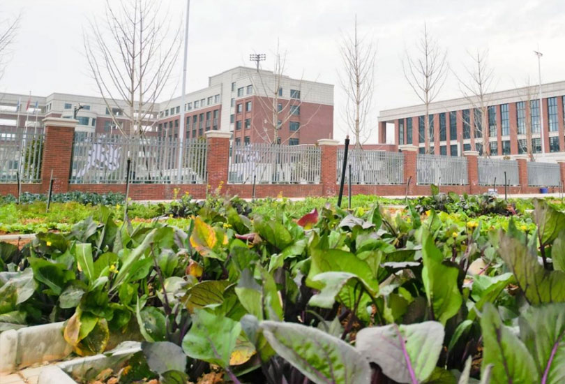 长沙市金阳高级中学