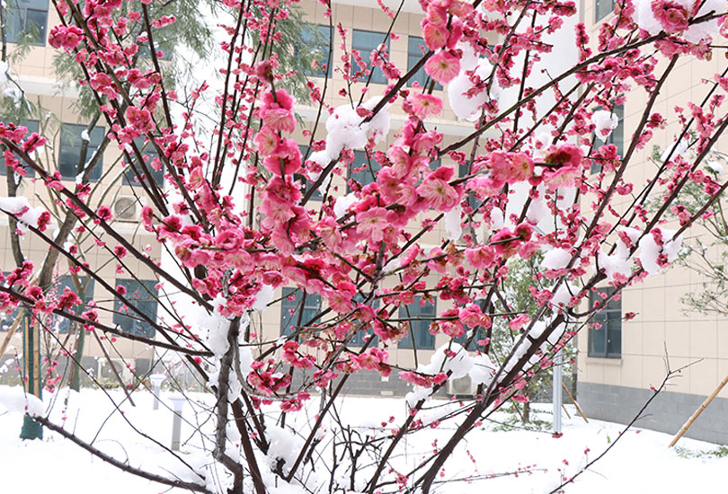 湘潭市里仁高级中学