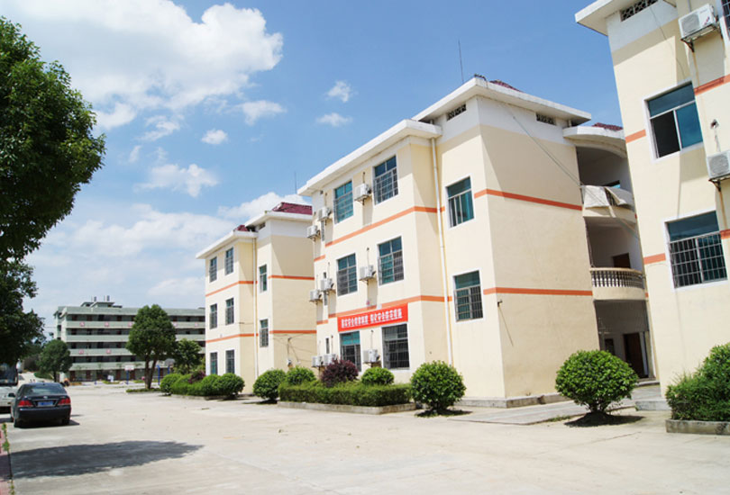 洞口县创新学校