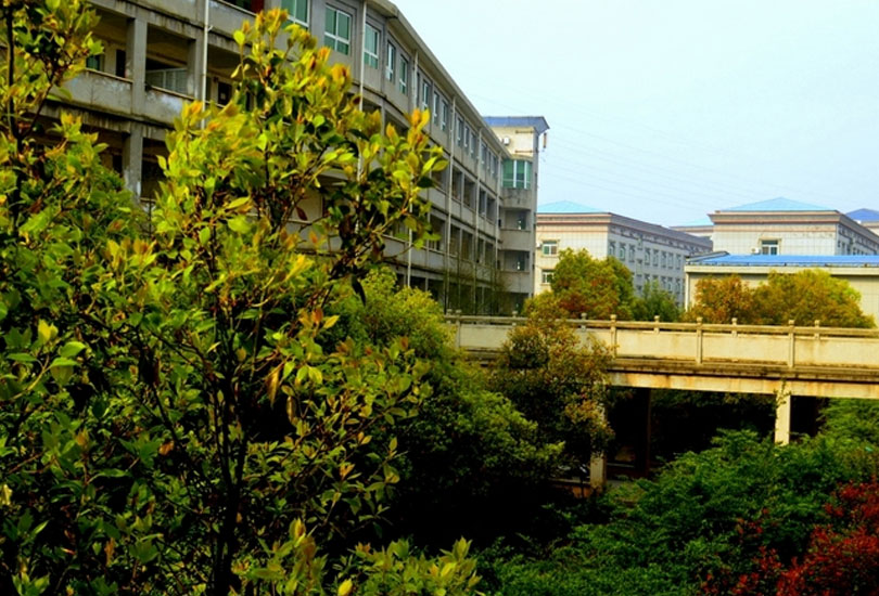 耒阳市正源学校