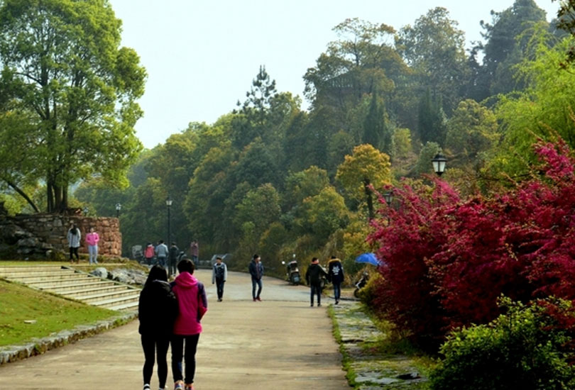 耒阳市正源学校