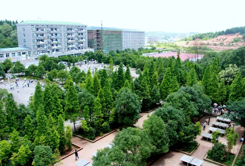 耒阳市正源学校