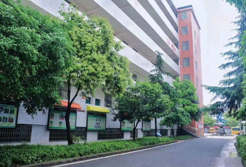 耒阳市振兴学校