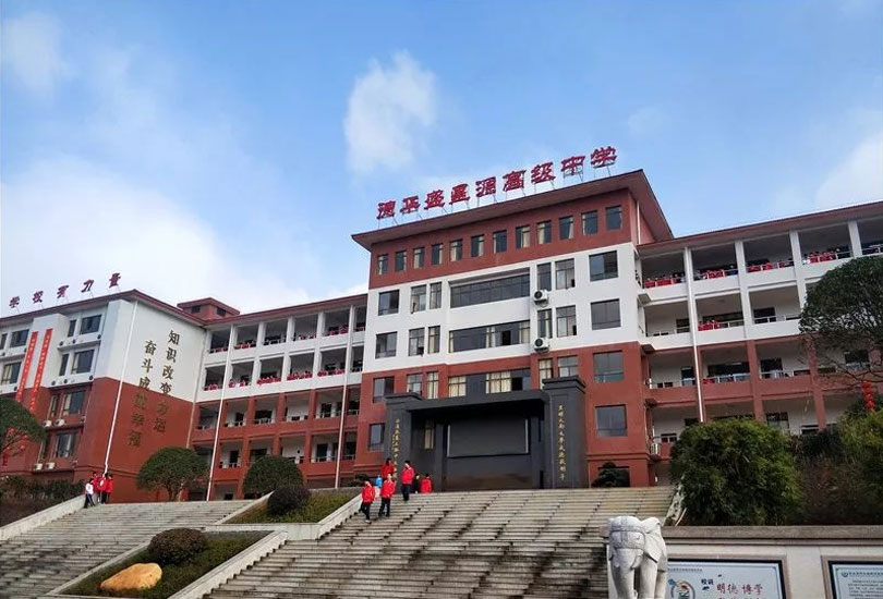 衡山县德华盛星源高级中学