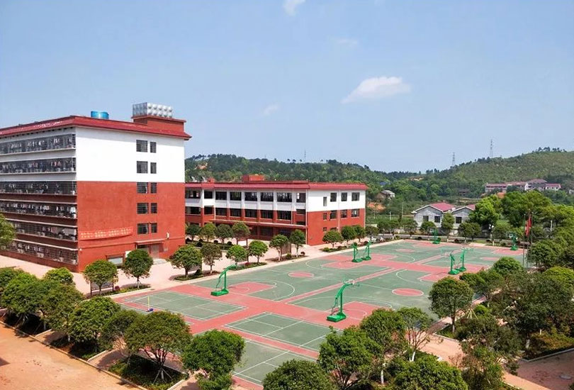 衡山县德华盛星源高级中学