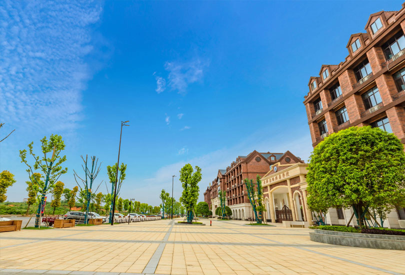 岳阳市郡华学校