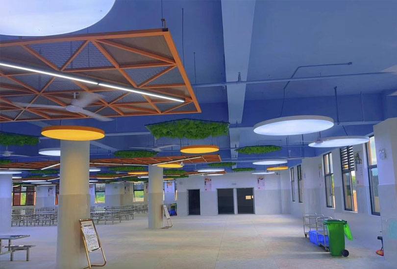 益阳博雅高级中学