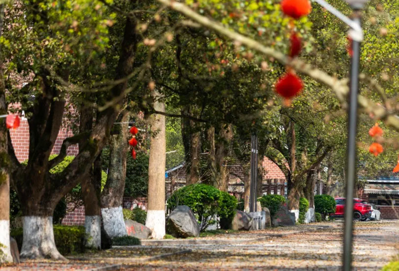 洪江市华韵实验学校