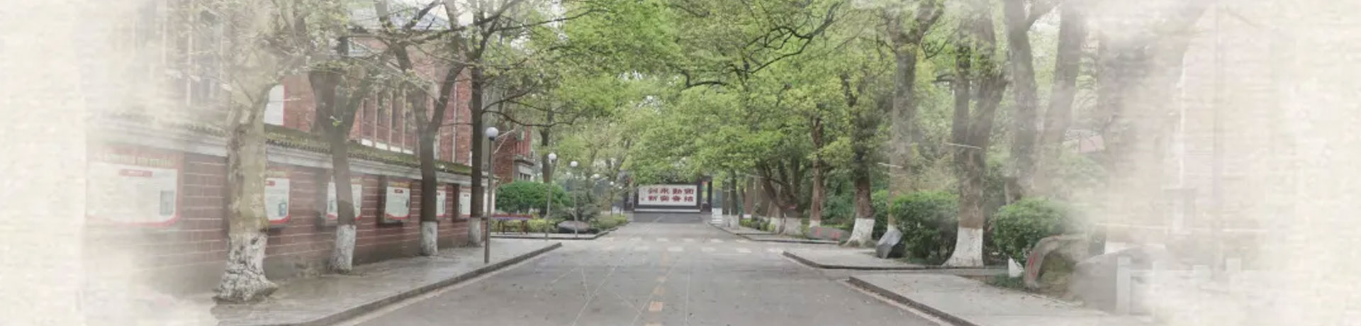 洪江市华韵实验学校