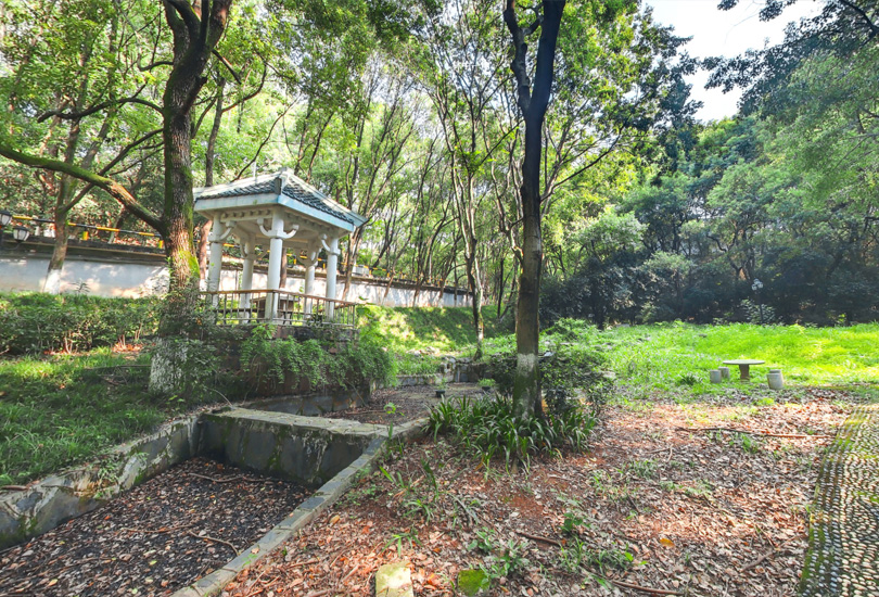 长沙民政职业技术学院