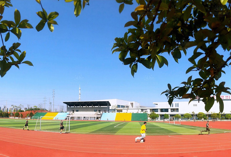 湖南汽车工程职业大学