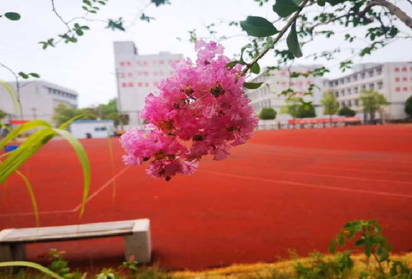 湘潭科技职业学院