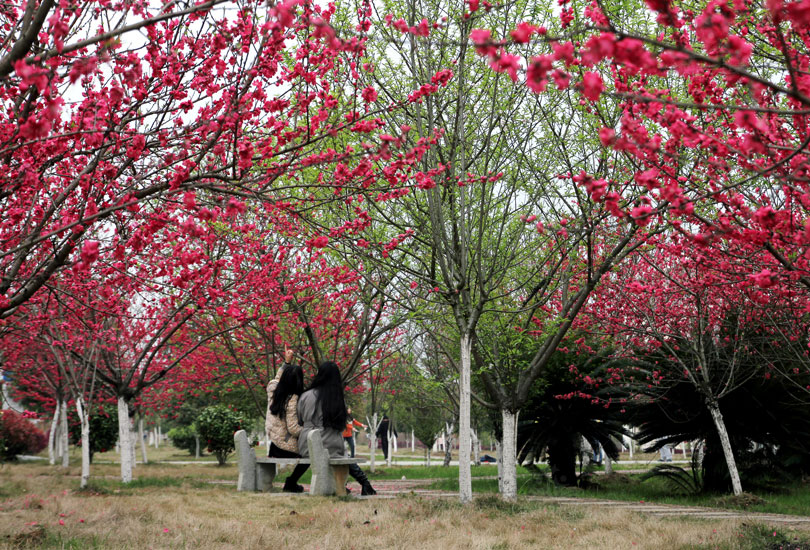 永州职业技术学院