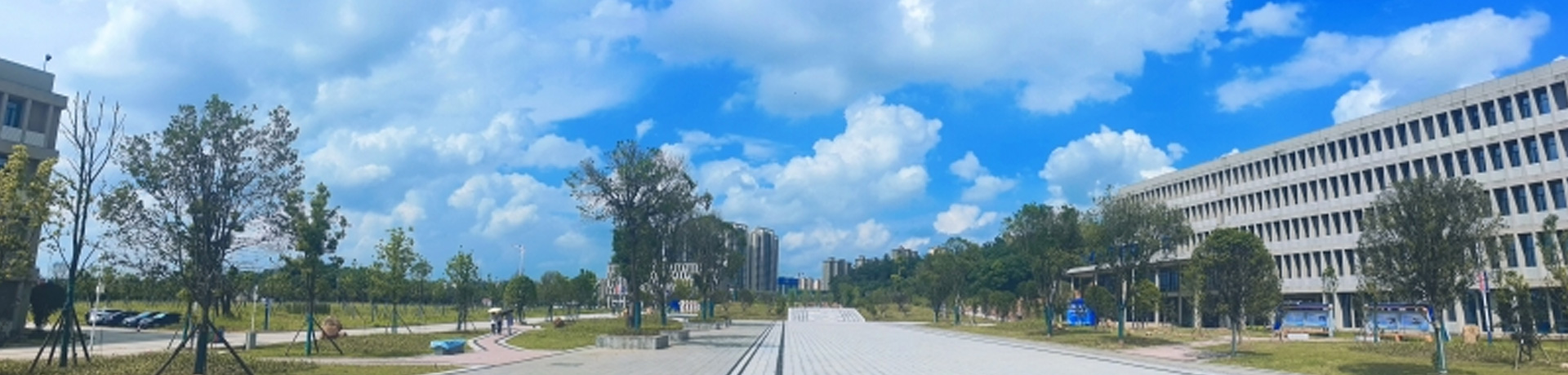 湖南科技职业学院