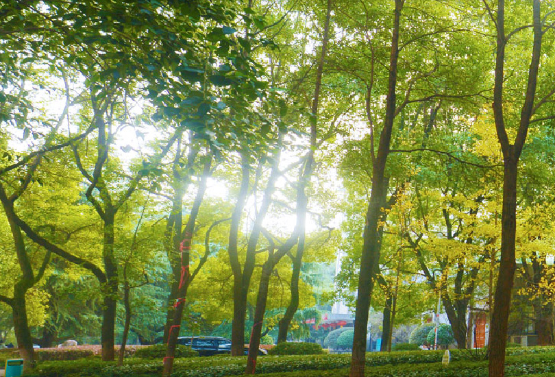 长沙环境保护职业技术学院