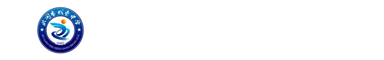 武冈市诚东高级中学