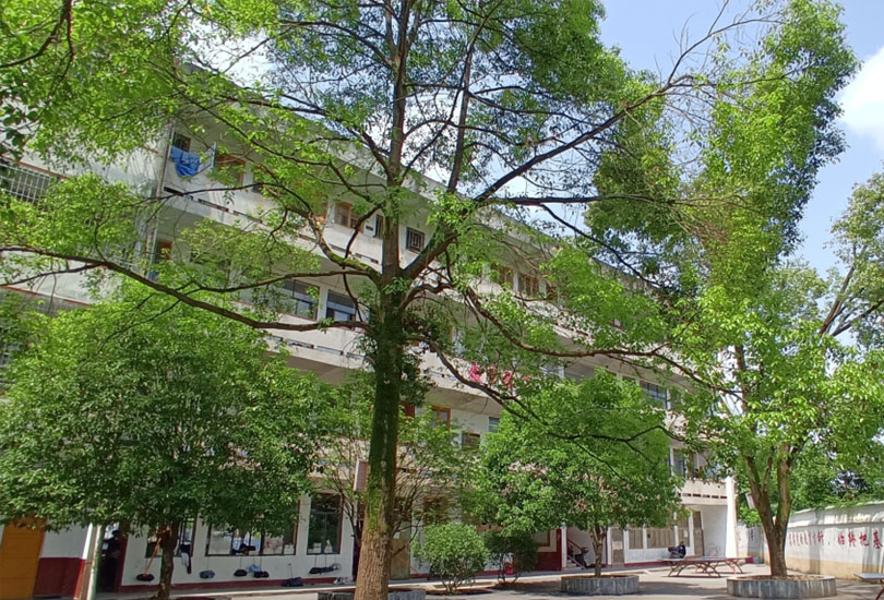 武冈市武思高级中学