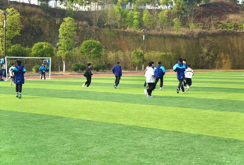 耒阳市格楠高级中学